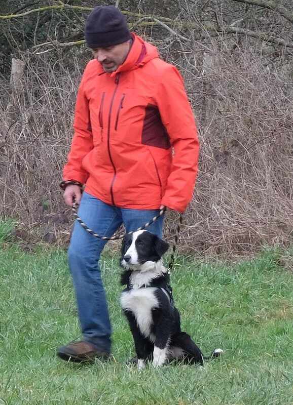 Oniks éducation recadré_web Copyright YJ Education canine