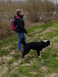 Comportementaliste animalier